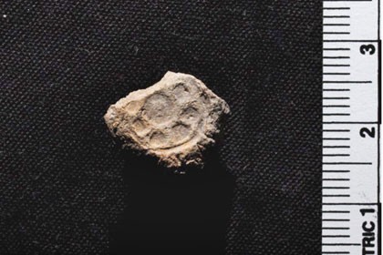 Археологи доказали реальность государства царя давида и соломона