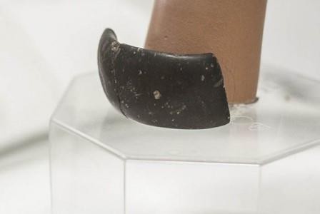 Археологи нашли на алтае древнейший в мире браслет