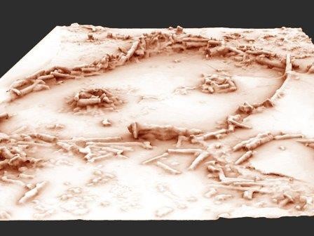 Археологи нашли неандертальского «дедушку» стоунхенджа во франции