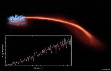 Астрономы выяснили новые подробности пожирания черной дырой звезд