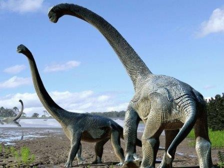 Австралийские палеонтологи представили публике пятнадцатиметрового динозавра