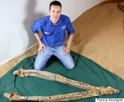 Австралийский фермер нашел на поле челюсти морского монстра