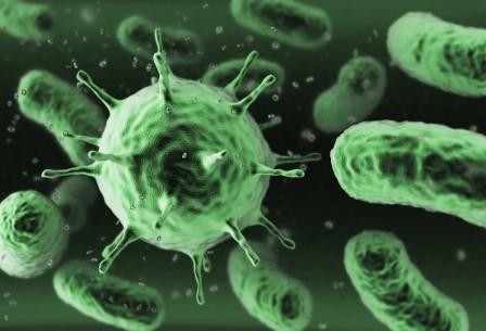 Бактерии в кишечнике управляют поведением человека