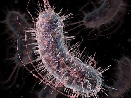 Бактерий научили ставить диагноз