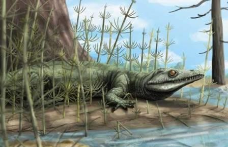 Бразильский дедушка динозавров был похож на крокодила