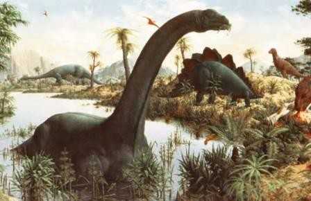 Бронтозавр вновь признан наукой
