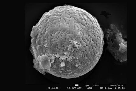 Частицы звездной пыли «рассказали» о верхних слоях древней атмосферы земли