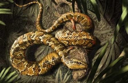 Четвероногую змею помог поймать археоптерикс