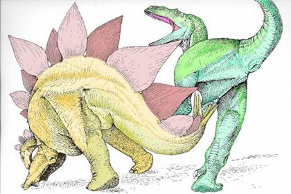 Cтегозавры убивали аллозавров ударом хвоста в лобковую кость