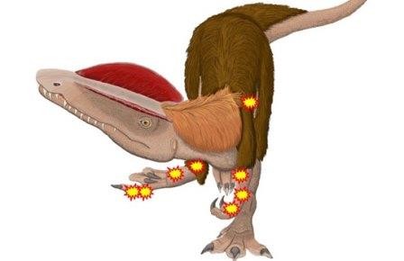 Дилофозавр-инвалид страдал от восьми болезней сразу