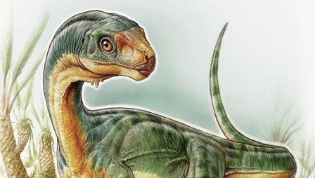 «Динозавр франкенштейна» из чили оказался «потерянным звеном» эволюции