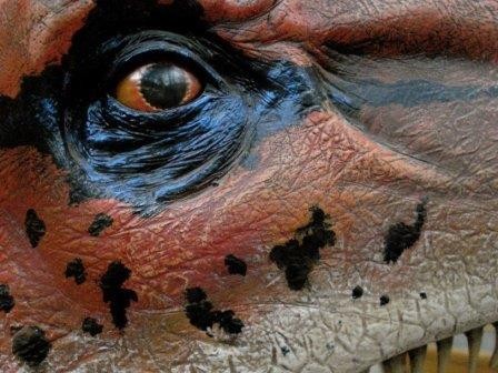 Динозавры видели красный цвет так же, как черепахи и птицы