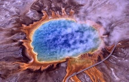 Древнейшая форма жизни на земле поможет нам в борьбе с инфекционными бактериями
