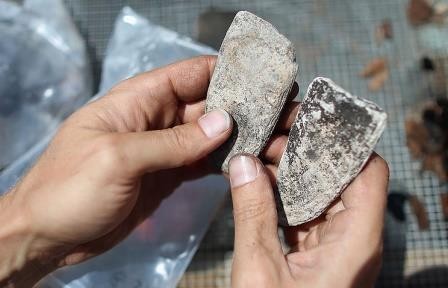 Древнейший каменный топор был изготовлен в австралии 49 тыс. лет назад