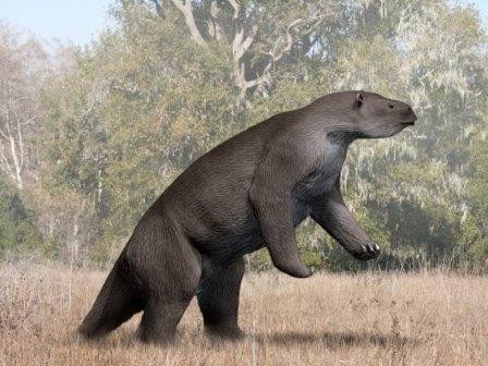 Древние гигантские ленивцы оказались строгими вегетарианцами