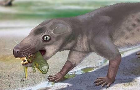 Древние предки млекопитающих кусались ядовитыми зубами