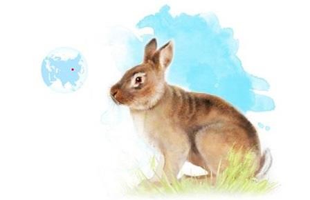 Древний кролик уточнил морские карты неогена