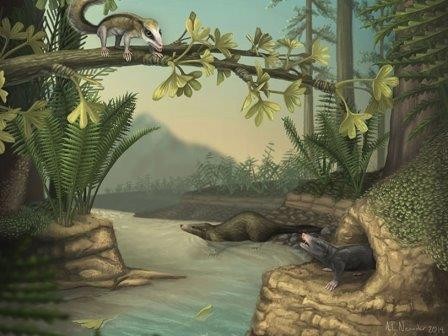 Два необычных млекопитающих из эпохи динозавров