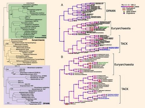 Генетики строят родословное древо архей