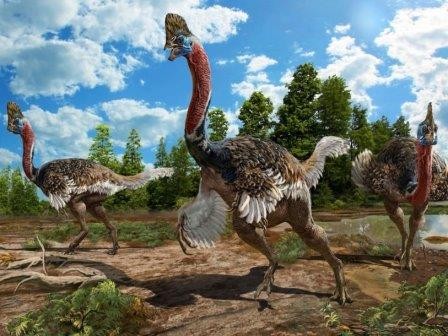 Голова нового вида динозавров была украшена гребнем