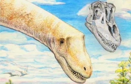 Голова титанозавра заполнила пробел в эволюции