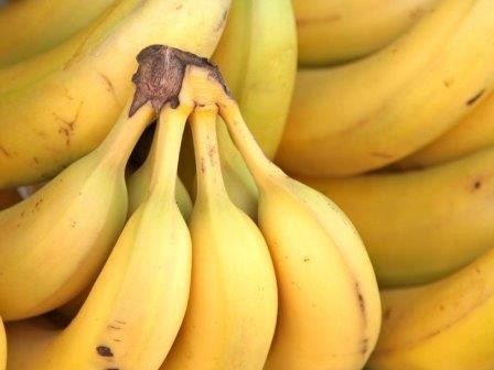Грибковая болезнь может уничтожить все бананы