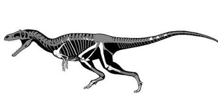 Gualicho shinyae: динозавр-химера из южной америки