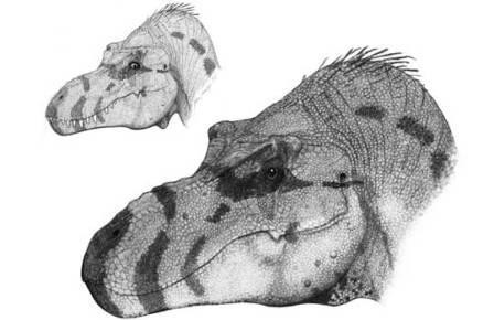 Губки бантиком. морда тираннозавра могла выглядеть совсем непривычно