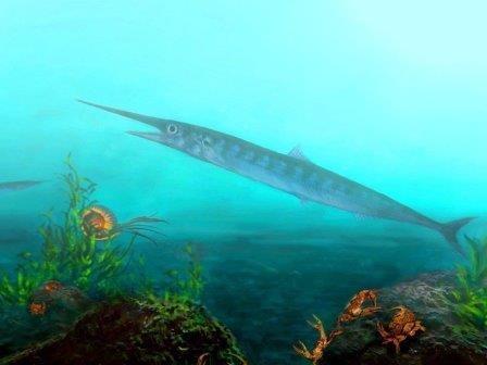 Экскурсант в колумбийском монастыре нашел жившую 90 миллионов лет назад рыбу