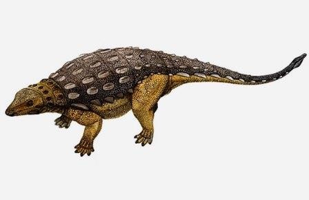Эволюция анкилозавров началась с крупных форм