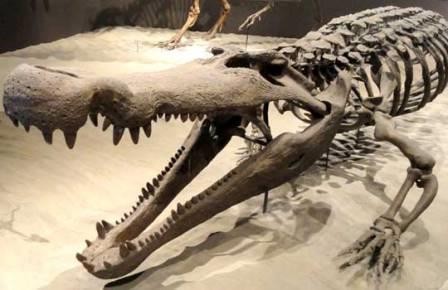 Как крокодилы охотились на динозавров