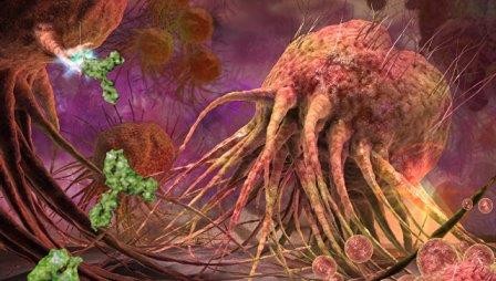 Как раковые клетки обманывают иммунную систему