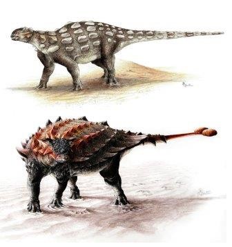 Как выросла «дубина» на хвосте динозавра-броненосца