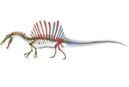 Крупнейший хищный динозавр — плод эволюционного эксперимента