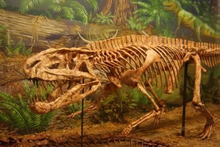 Крупные динозавры оказались склонны к воркованию