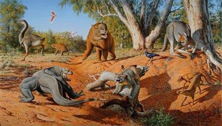 Люди, а не климат стали главной причиной исчезновения мегафауны плейстоцена в австралии
