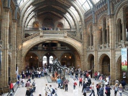 Лондонские музейщики склоняют моль к однополым бракам