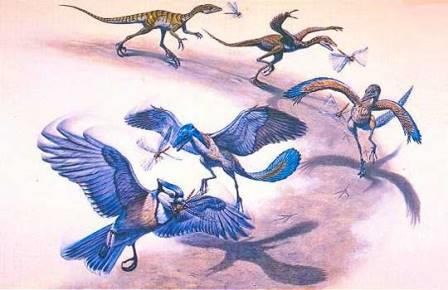 Мелкие виды динозавров пережили глобальное вымирание