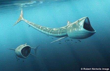 Мезозойская рыба с огромной пастью предпочитала планктон