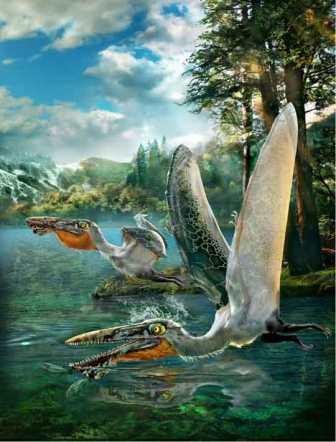 Мезозойского ящера-пеликана назвали в честь дракона с пандоры