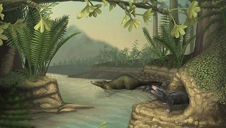 Млекопитающие «не заметили» вымирания динозавров, заявляют ученые