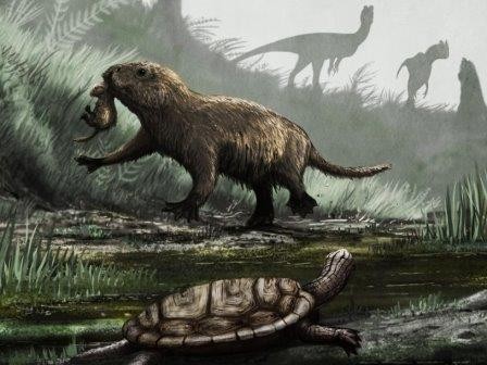 Млекопитающие стали дневными животными после вымирания динозавров