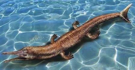 Морске крокодилы вымерли из-за холоднокровности