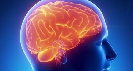 Мозг человека активно работает даже во время сна