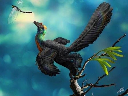 Найденный в китае динозавр был покрыт радужным оперением