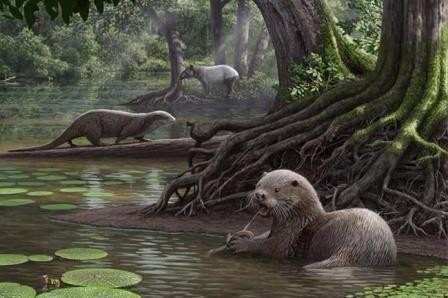 Найдены останки доисторической выдры размером с волка