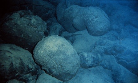 Насыщение кислородом глубин океана произошло значительно позже, чем появление первых животных