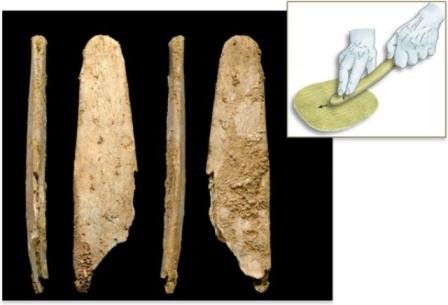 Неандертальцы изготавливали костяные инструменты