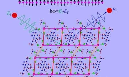 Нейтроны обнаруживают неуловимую амплитудную форму хиггса в квантовом материале