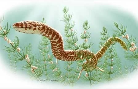 Обнаружили древнейших ископаемых змей